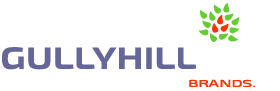 GullyHill